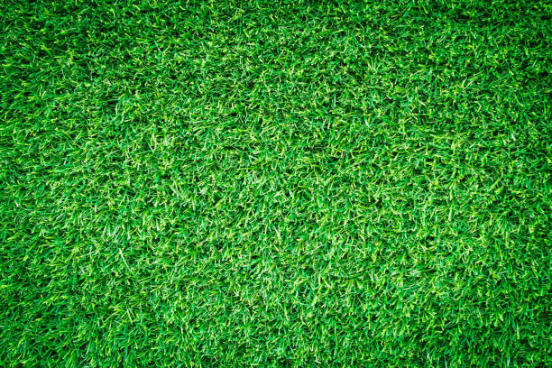 istock Artificial green grass texture for golf course. soccer field or sports background concept design. 827266522