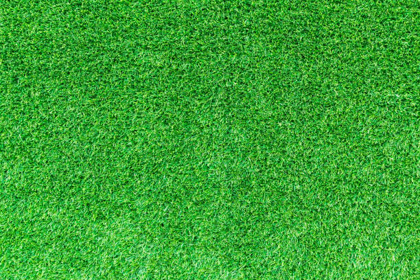 istock Artificial green grass texture for golf course. soccer field or sports background concept design. 827266564