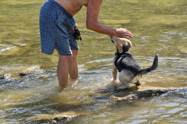 istock Refreshing walk in river in hot summer 827276488
