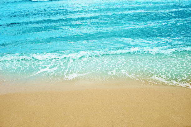 istock Beach and tropical sea 827276986