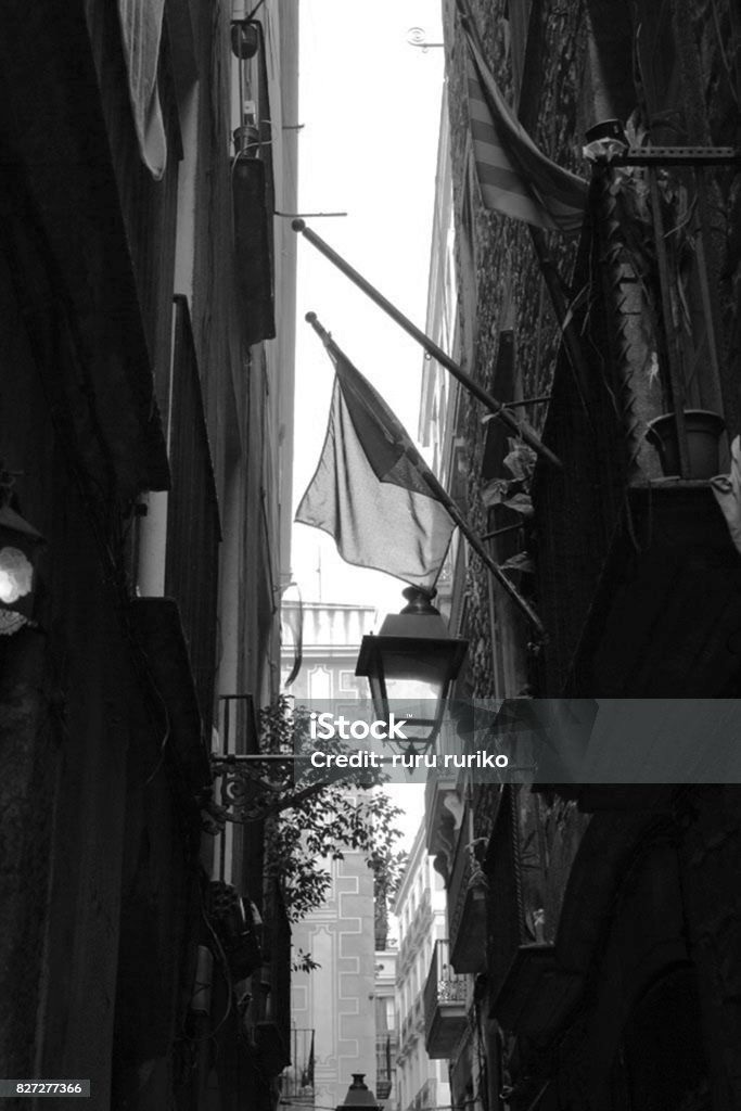 black and white picture of street in barcelona spain in spring Barcelona - Spain Stock Photo