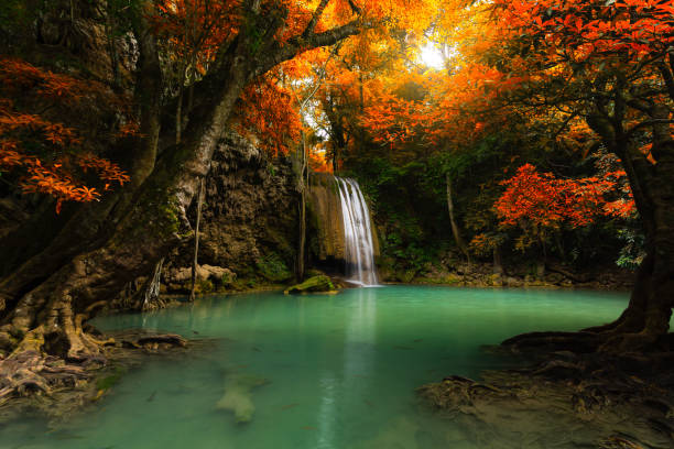 istock Beautiful autumn waterfall in deep forest thailand. 827287888
