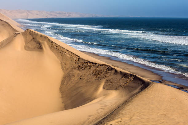 istock Atlantic coast of Walvis Bay, Namibia 827288698