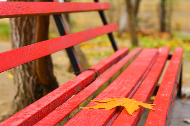 istock Yellow autumn leaf on bench in city park 827295200
