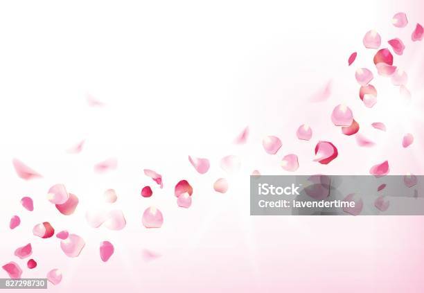 Pink Rose Petals Is Flying In The Air With Flares Stock Illustration - Download Image Now - Heart Shape, Petal, Peony