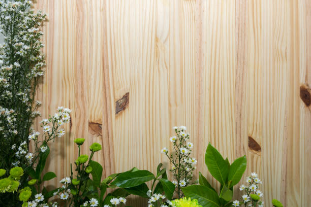 Green and white flowers with wood background