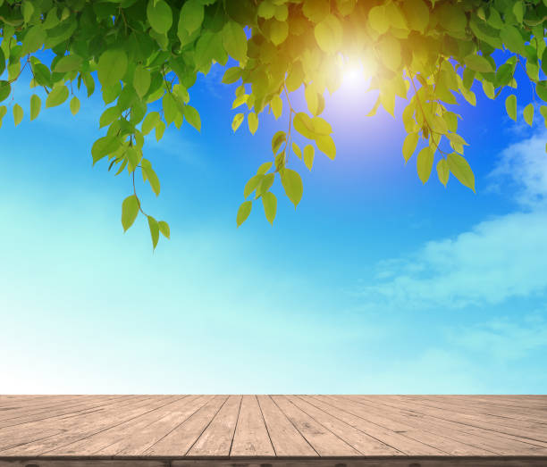 istock empty wood plank floor mock on the blule sky with green leaves and sun light for display or montage your work background 827305572