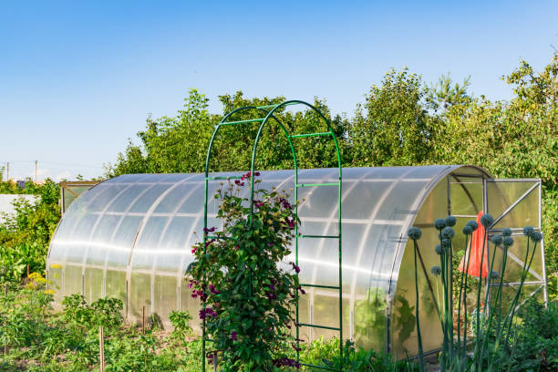 istock in the garden arched greenhouse 827308776