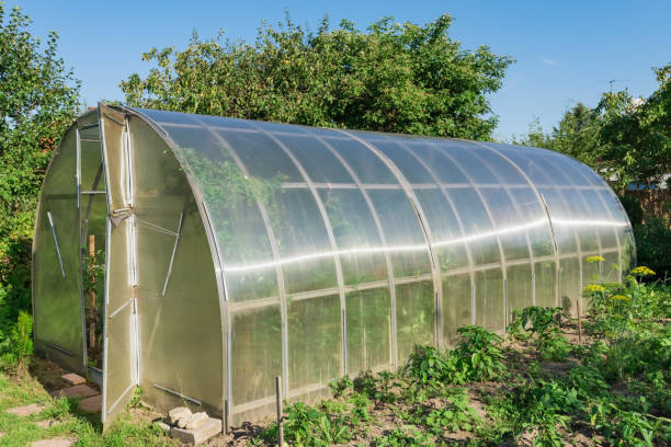 istock in the garden arched greenhouse 827308800