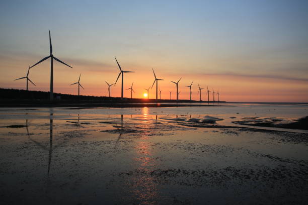 istock sunset of wind farm 827312034