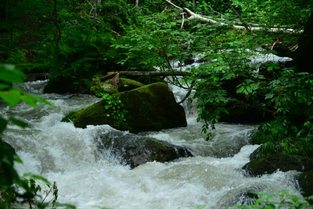 istock Oirase Mountain Stream, Aomori, Japan 827312702