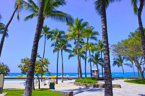 istock Scenery of Hawaii Waikiki Beach 827318652