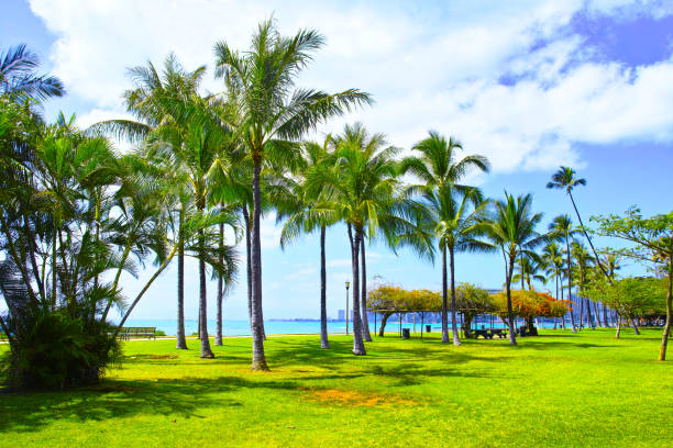 istock Scenery of Hawaii Waikiki Beach 827318836