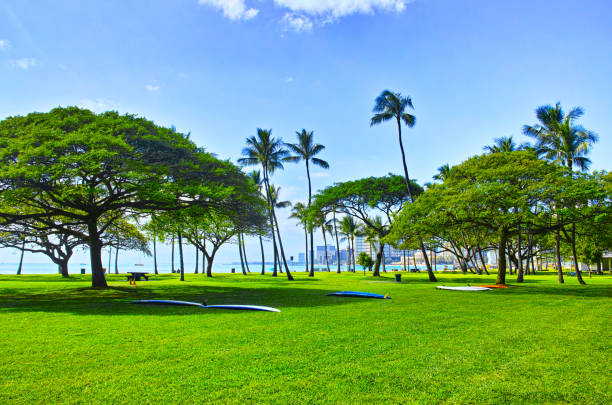 Scenery of Hawaii Waikiki Beach