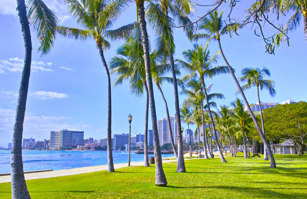 istock Scenery of Hawaii Waikiki Beach 827319000