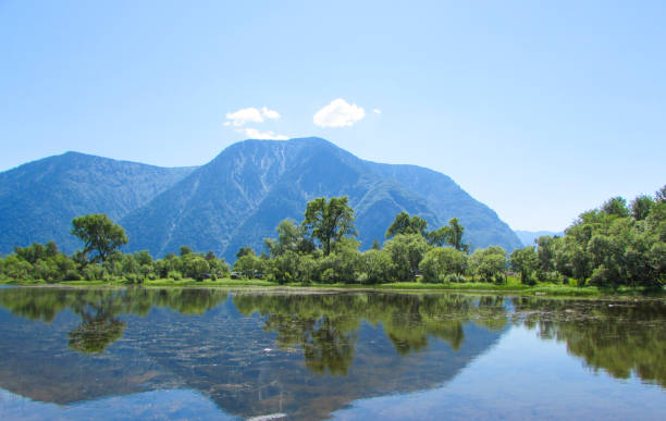 istock Lake Teletskoye 827333234