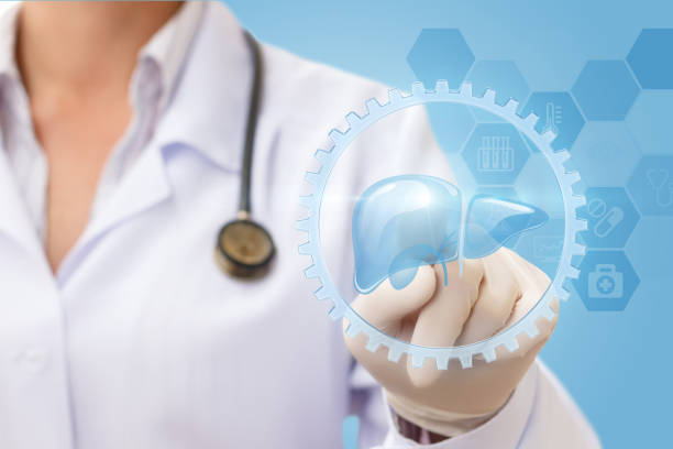 istock Doctor clicks on the button the liver. 827341308