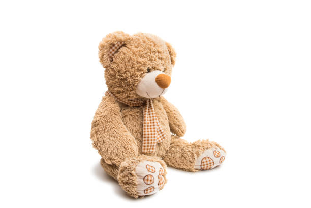istock Big Bear soft toy isolated 827341550