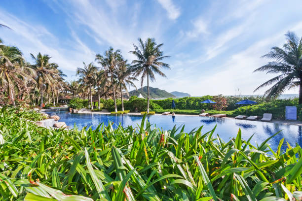 istock Tropical garden panorama with pool and sunshades 827345858
