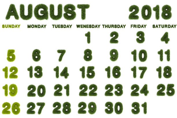 istock Calendar for August 2018 on white background,3d rendering green grass 827352094