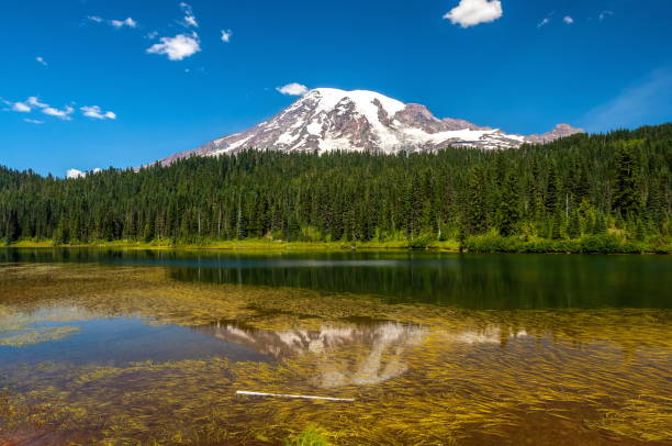 istock Mt. Rainier, Washington-USA 827352180