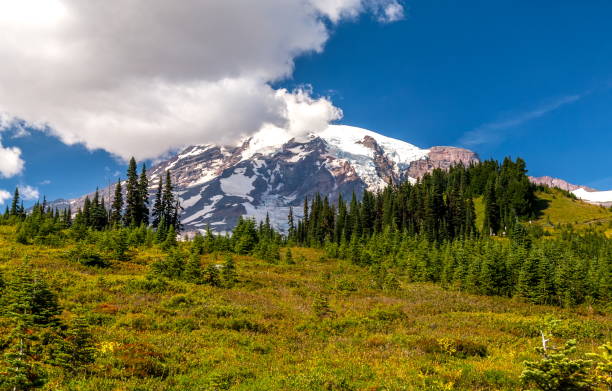 istock Mt. Rainier, Washington-USA 827352290