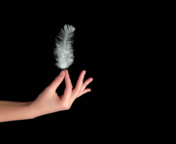 istock Close up of white feather in hand 827355768
