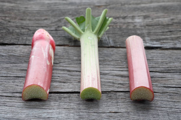 istock Raw rhubarb stalks on wood 827358566