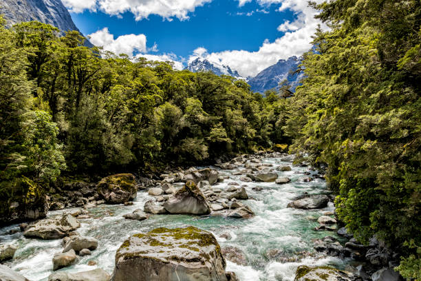 istock Tutoko River in Fiordland 827358852
