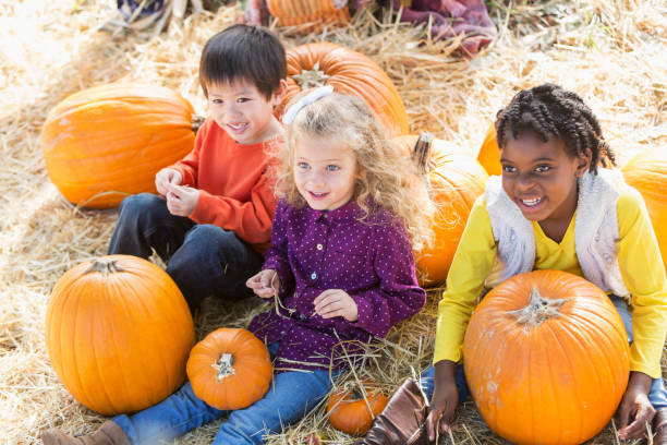 tre bambini multietnici che giocano nella patch di zucca - pumpkin child little girls pumpkin patch foto e immagini stock