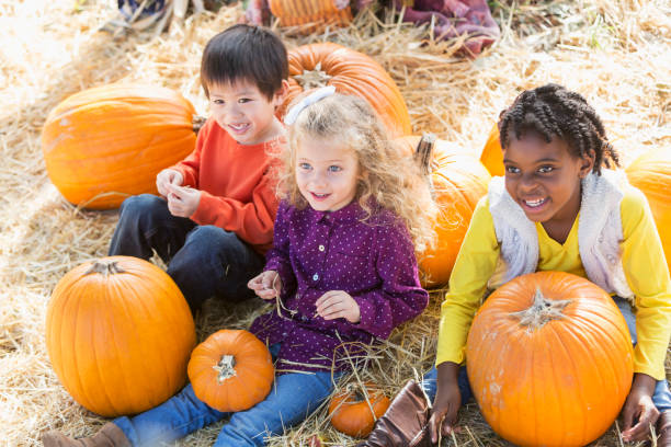 trzy wieloetniczne dzieci bawiące się w plastry dyni - pumpkin child little girls pumpkin patch zdjęcia i obrazy z banku zdjęć