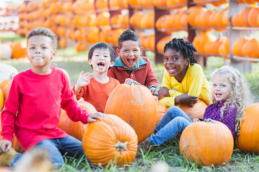 A group of five multi-ethnic children, 4 and 5 years old, with lots of pumpkins at a farmer's market.