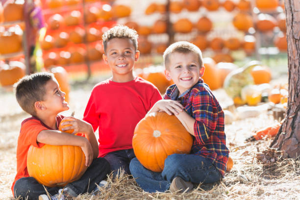 istock Friends at pumpkin stand 827362224