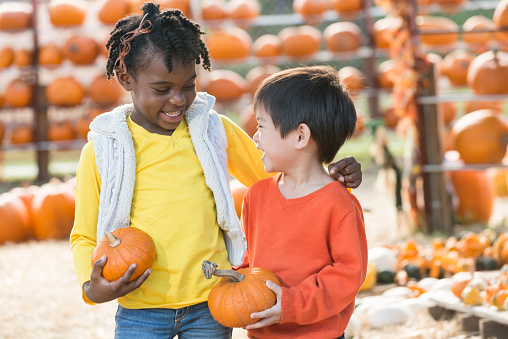 Two multi-ethnic children at a pumpkin stand, picking their pumpkins for Thanksgiving or Halloween. The African American girl is 5 years old and the Asian boy is 4. They are smiling at each other.
