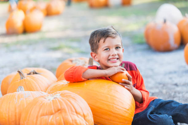 istock Little mixed race  boy in pumpkin patch 827362512