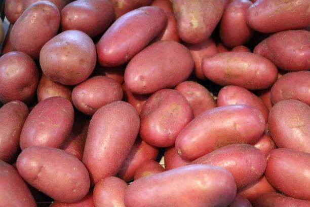 czerwone ziemniaki o nazwie laura na cotygodniowym targu w fremantle, australia - raw potato red potato red vegetable zdjęcia i obrazy z banku zdjęć