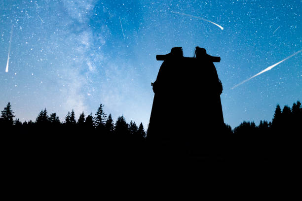 istock Pine trees silhouette Milky Way observatory Falling stars 827379186