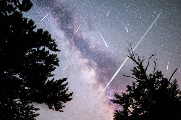 istock Pine trees silhouette Milky Way falling stars 827379242