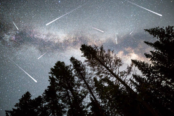 Pine trees silhouette Milky Way falling stars A view of a Meteor Shower and the Milky Way with a pine trees forest silhouette in the foreground. Night sky nature summer landscape. Perseid Meteor Shower observation. meteor photos stock pictures, royalty-free photos & images