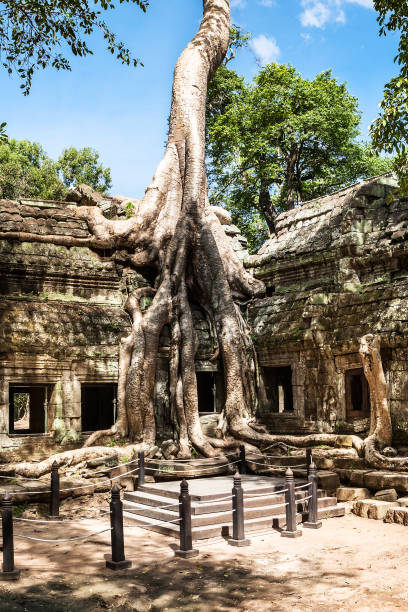 istock Ta Phrom at Angkor Wat, Cambodia 827391086
