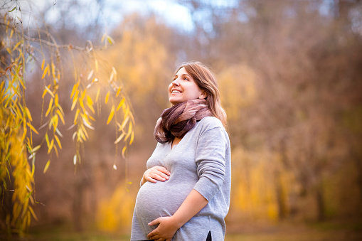 Happy young smiling pregnant woman in autumn park