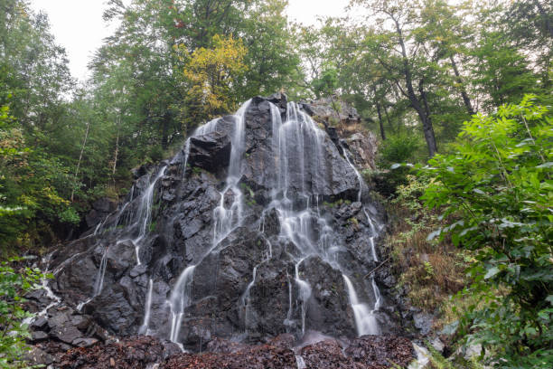 istock The waterfall on mountains in Harz, Germany 827393754