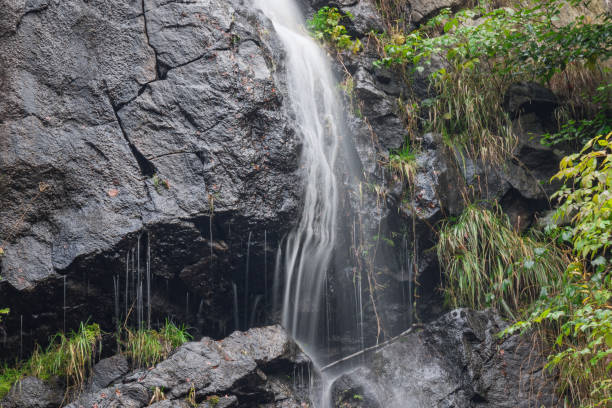 istock The waterfall on mountains in Harz, Germany 827393806