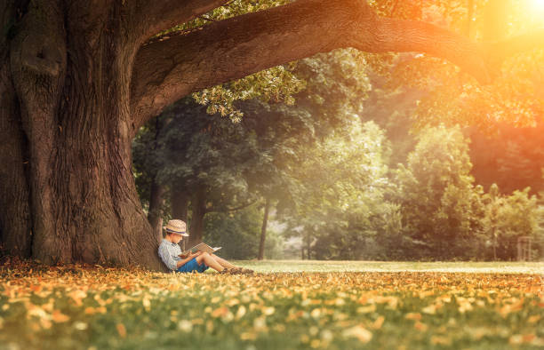 istock Little boy reading a book under big linden tree 827397120