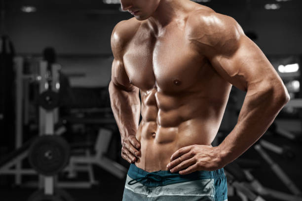 muskulöser mann abs im fitness-studio, geformten bauch. starke männliche nackten oberkörper trainieren - sechserpack stock-fotos und bilder