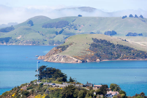 istock Port Chalmers Lookout 827407798