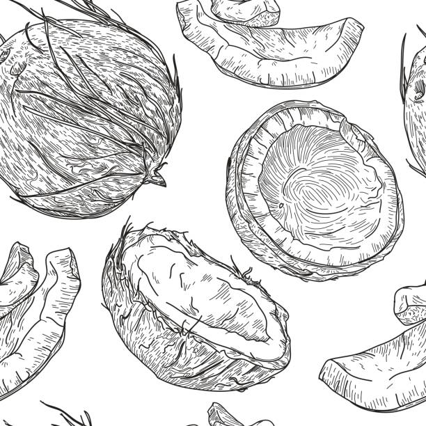 Crazy for Coconuts Pattern vector art illustration