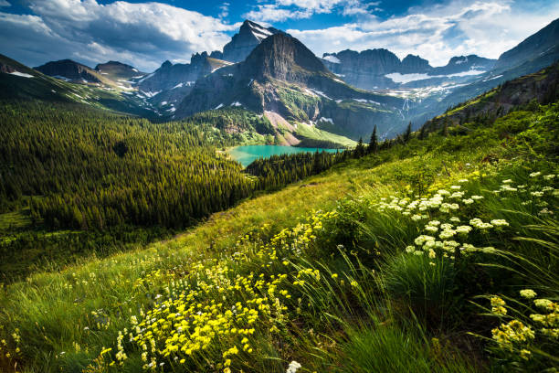 grinnell glacier trail - mountain majestic park cliff photos et images de collection