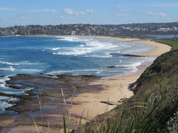 istock View from the headland at Long Reef. 827422984