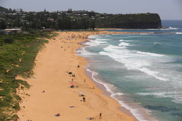 istock Mona Vale Beach in Sydney on a sunny day. 827423196